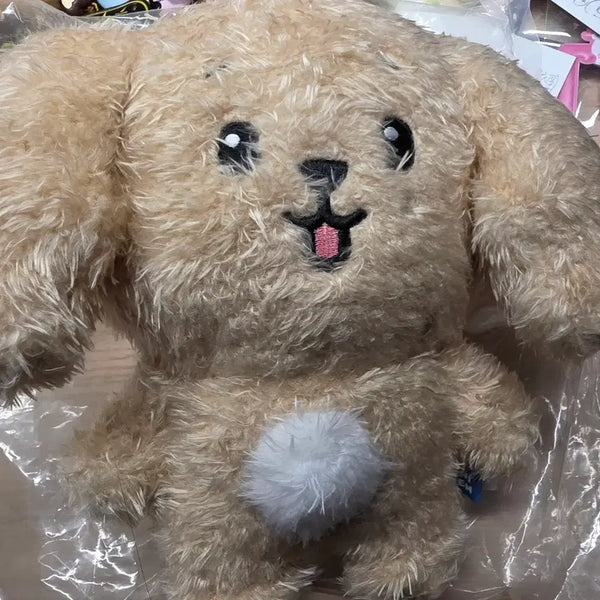 [BUNJANG] Doh-ah Mini Tin Doll / 도아 인형 공식 미니틴 팝업