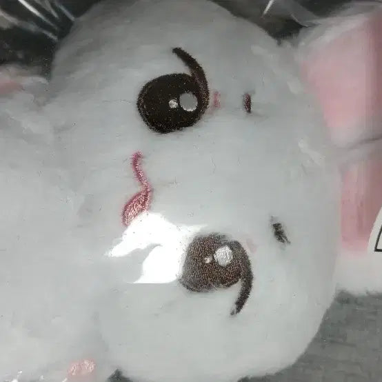 [BUNJANG] Lip Toa Lip Tint / 립또아 판매