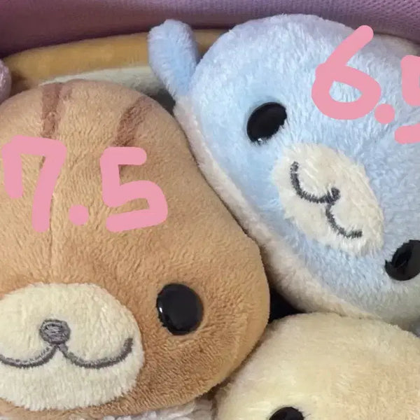 [BUNJANG] Sora Mamegoma Plush / 소라 마메고마