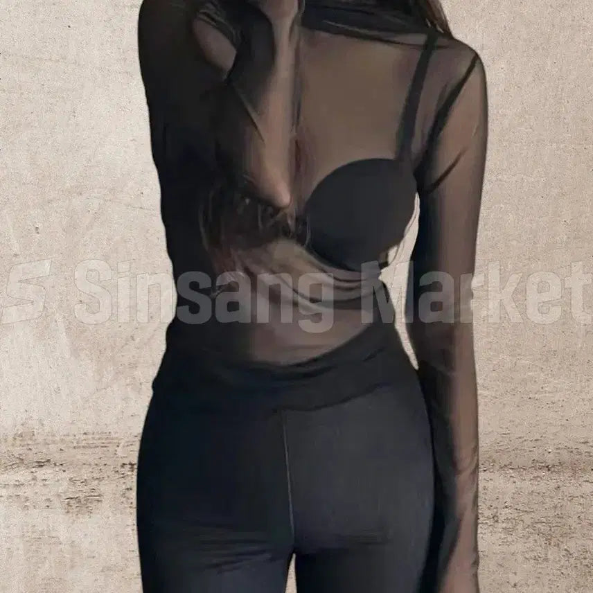 [BUNJANG] Layered See-Through Mesh Turtleneck Top / [빠른발송] 매쉬 반목 레이어드 시스루티