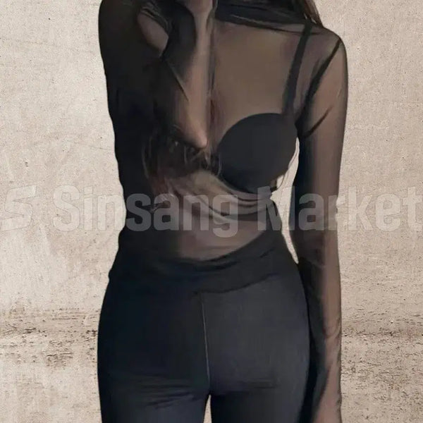 [BUNJANG] Layered See-Through Mesh Turtleneck Top / [빠른발송] 매쉬 반목 레이어드 시스루티