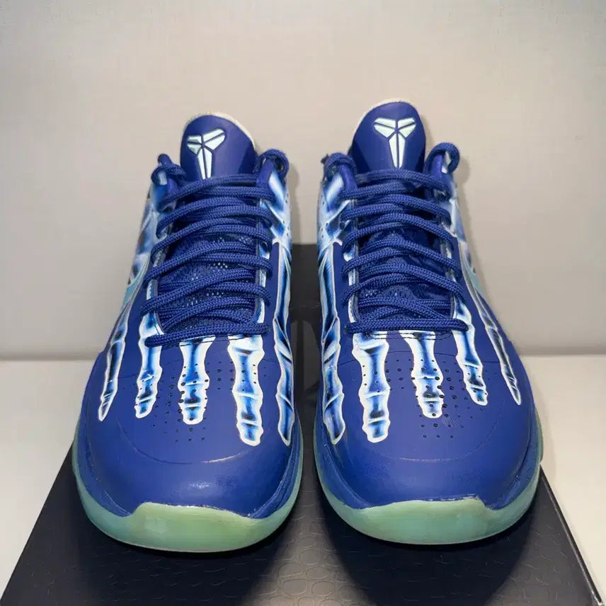 [BUNJANG] Nike Kobe 5 X-Ray Basketball Shoes / 코비 5 엑스레이