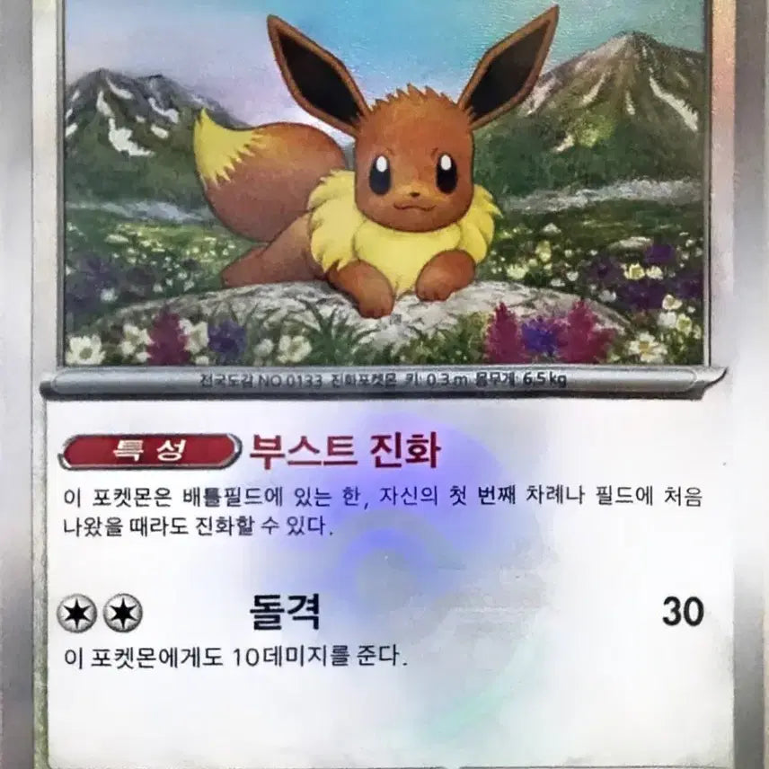[BUNJANG] Pokemon Card Eevee Monster Ball / 포켓몬 카드 이브이 몬스터볼