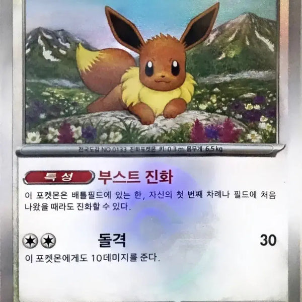 [BUNJANG] Pokemon Card Eevee Monster Ball / 포켓몬 카드 이브이 몬스터볼
