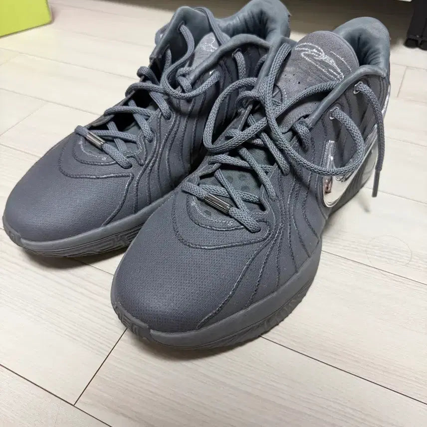 [BUNJANG] Nike LeBron 21 Men's Basketball Shoes / 나이키 르브론 21 그레이 실버