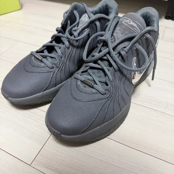 [BUNJANG] Nike LeBron 21 Men's Basketball Shoes / 나이키 르브론 21 그레이 실버