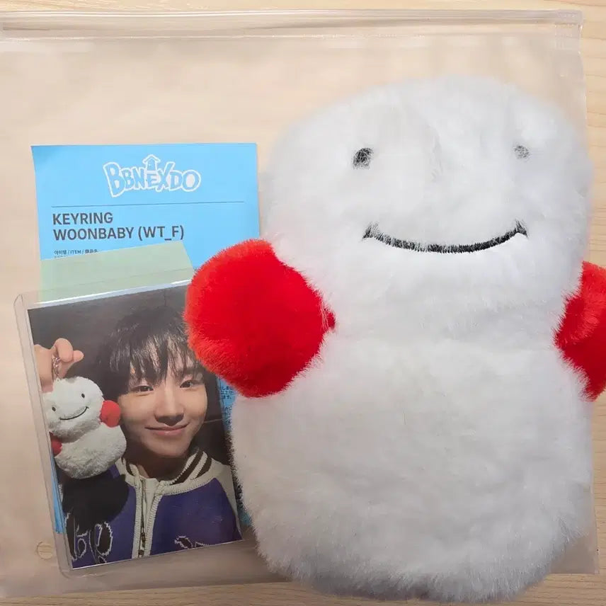 [BUNJANG] Prenez-do Baby 1st Generation Keychain (with Photocard) / 포카 포함) 쁘넥도 운아기 1기 키링 판매