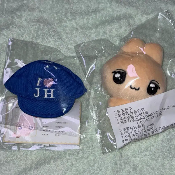 [BUNJANG] Park Ji Hoon Wingtto Doll (Hat Included) / 박지훈 인형 윙또 양도합니다 (모자 포함)
