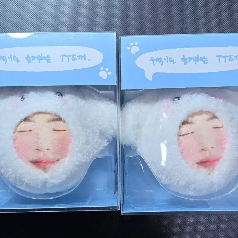 [BUNJANG] Byeon Woo-seok Fan Meeting Goods Voice Keychain / 변우석 팬미팅 굿즈 보이스 키링 배송비 포함 양도