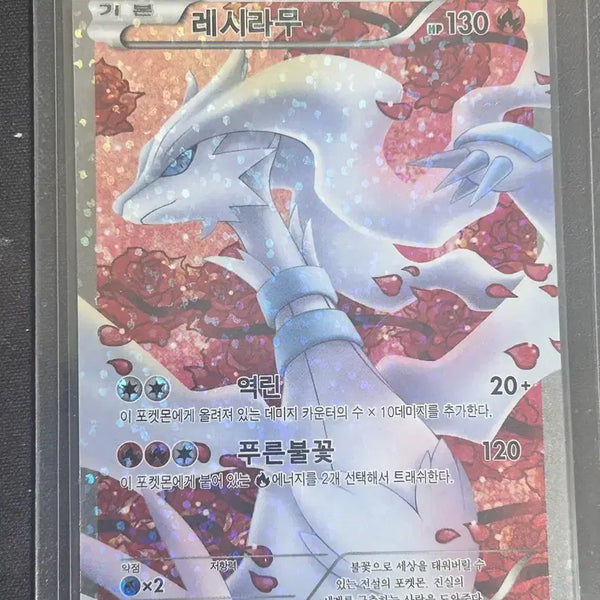 [BUNJANG] Pokemon Card BW2013 Reshiram SR / 고전 포켓몬카드 bw2013 레시라무sr