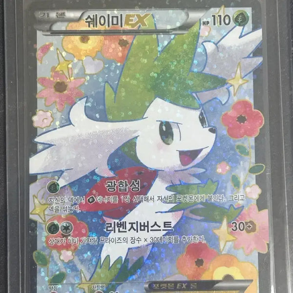 [BUNJANG] Pokemon Card BW2013 Shaymin SR / 고전 포켓몬카드 bw2013 쉐이미sr