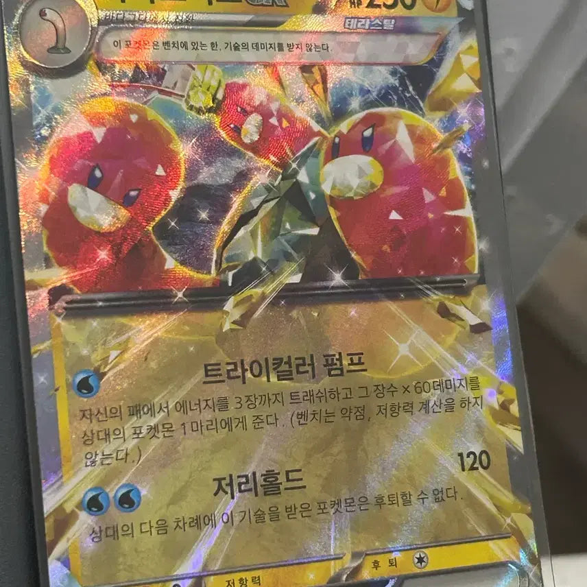 [BUNJANG] Pokemon Card - Terraformer Trio EX RR / 바닥트리오 EX RR 포켓몬카드