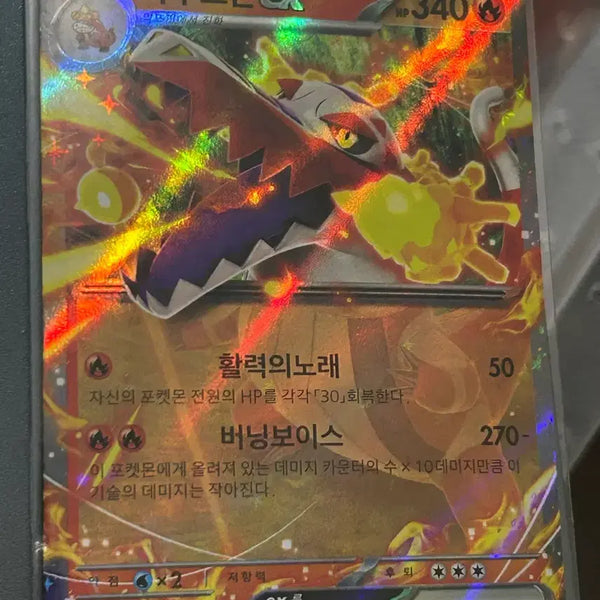[BUNJANG] Pokemon Card Loudred EX Burning Voice RR / 포켓몬 카드 라우드본EX 버닝보이스 RR
