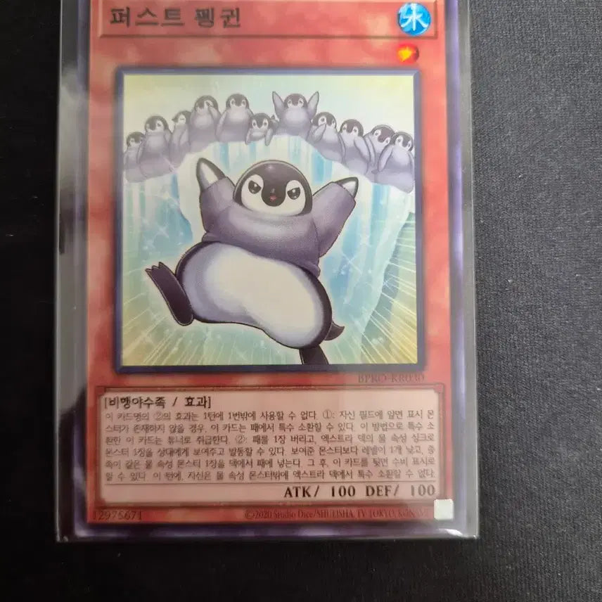 [BUNJANG] Yu-Gi-Oh! First Penguin Normal / 유희왕 퍼스트 펭귄 노멀