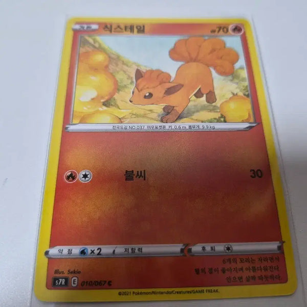 [BUNJANG] Pokemon Card Vulpix 010/067 / 포켓몬 카드 식스테일 010/067
