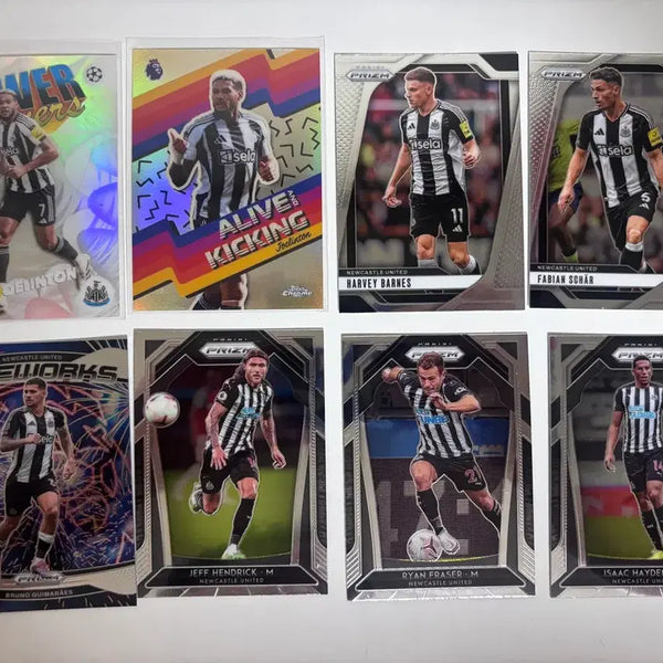 [BUNJANG] Newcastle United Football Club Player Card Set / 뉴캐슬 축구 카드 세트