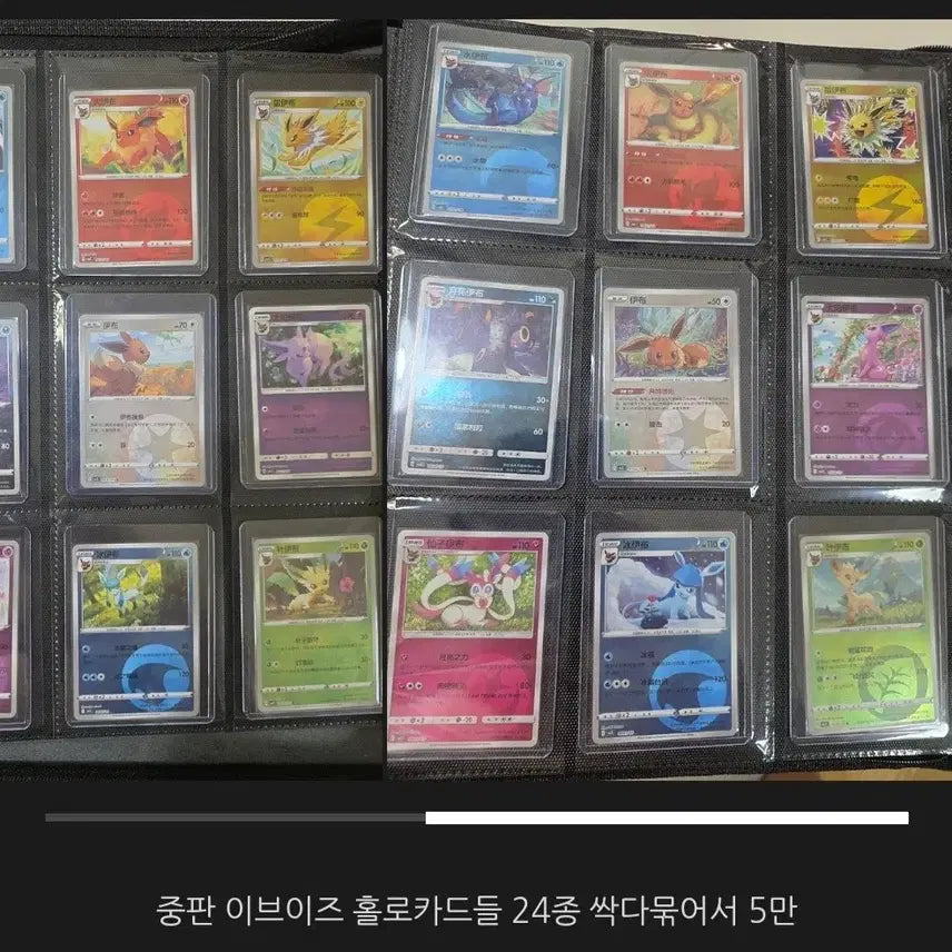 [BUNJANG] Pokemon Cards Eeveelutions 24 Types Holo / 포켓몬카드 중판 이브이즈 24종 홀로