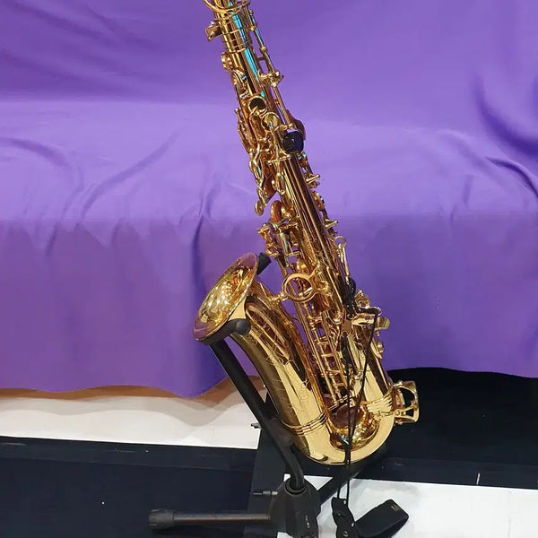 [BUNJANG] Mathias Alto Saxophone / [알토] 저렴한 가격에 뽀대나는 입문용 mathias 앨토색소폰