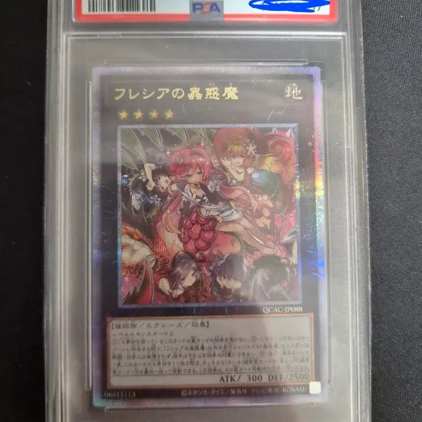 [BUNJANG] Yu-Gi-Oh! Traptrix Puzzlomino Quarter Century Secret Rare PSA 9 / 유희왕 플레시아의 충혹마 쿼시크 psa 9