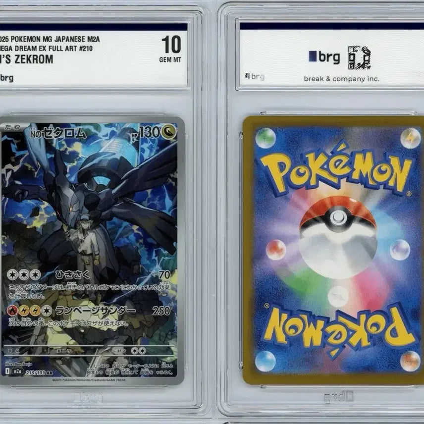 [BUNJANG] N's Zekrom AR Japanese PSA 10 GEM MT / N의 제크로무 일판 ar brg 10