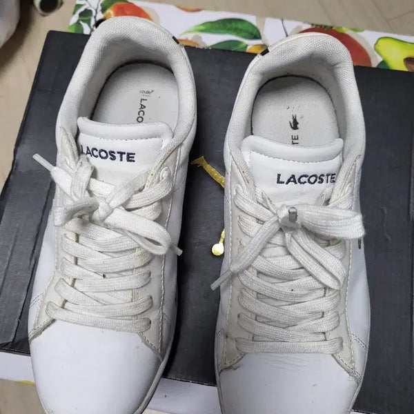 [BUNJANG] Lacoste Carnaby Evo Sneakers UK 4 / 라코스테 카나비 에보 스니커즈 UK4 사이즈 상태매우좋음