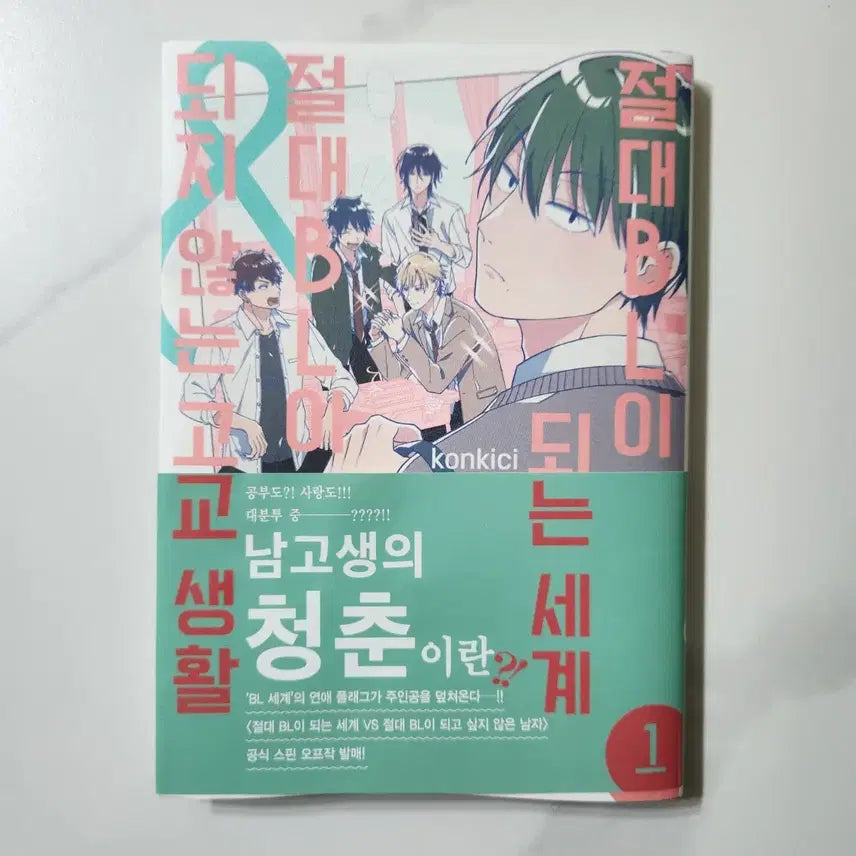 [BUNJANG] Absolute BL Becoming World High School Life Side Story Korean Edition Manga / 절대 BL이 되는 세계 고교 생활 외전 정발 만화책