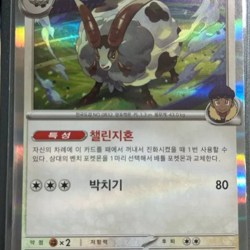 [BUNJANG] Pokemon Card Baa'ure R Mirror Hologram / 호브의 배우르 R 포켓몬카드 미러 홀로그램