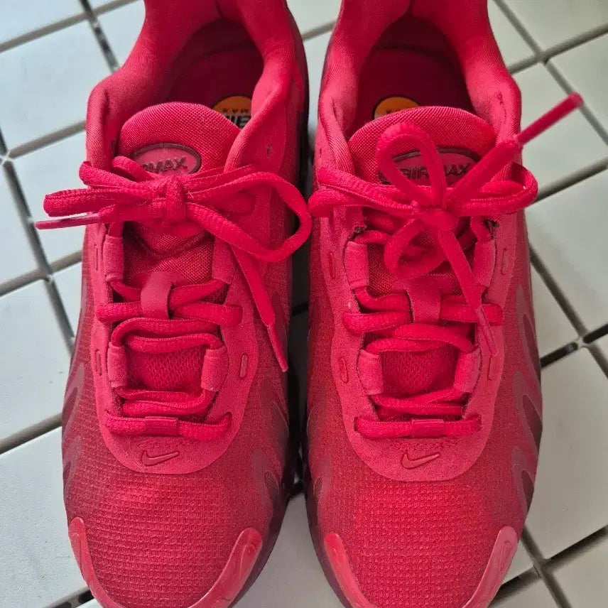 [BUNJANG] Nike Air Max DN8 240 / 나이키 DN8 240