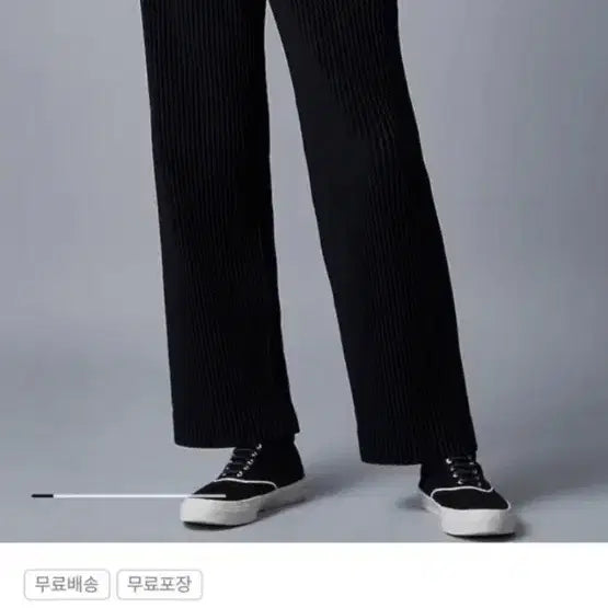 [BUNJANG] Homme Plissé ISSEY MIYAKE Wide Pants Size 2 / 옴므플리세 와이드팬츠