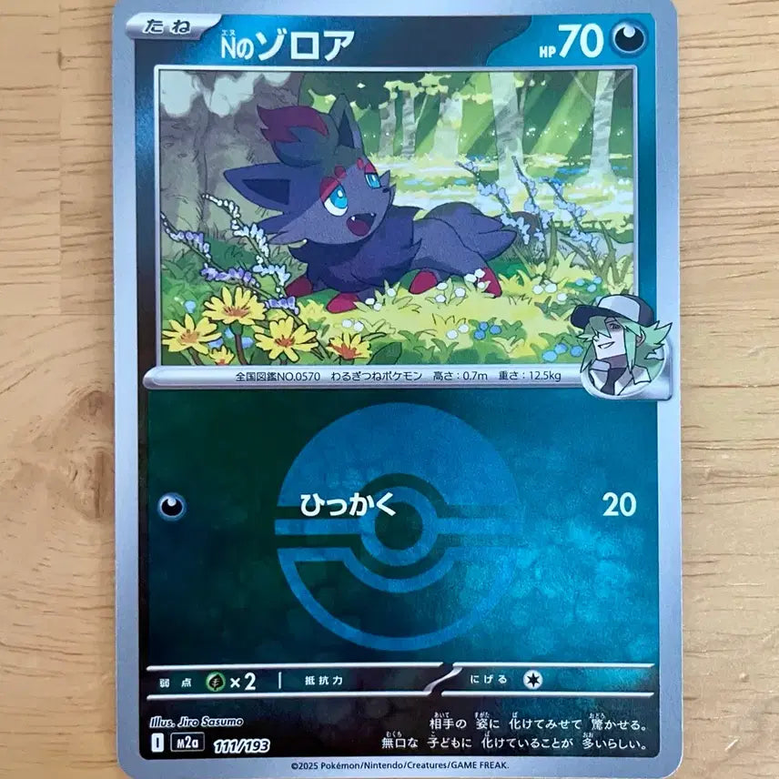 [BUNJANG] Pokémon Card Zoroark 111/194 / 일판 포켓몬카드 M의 조로아 111/194