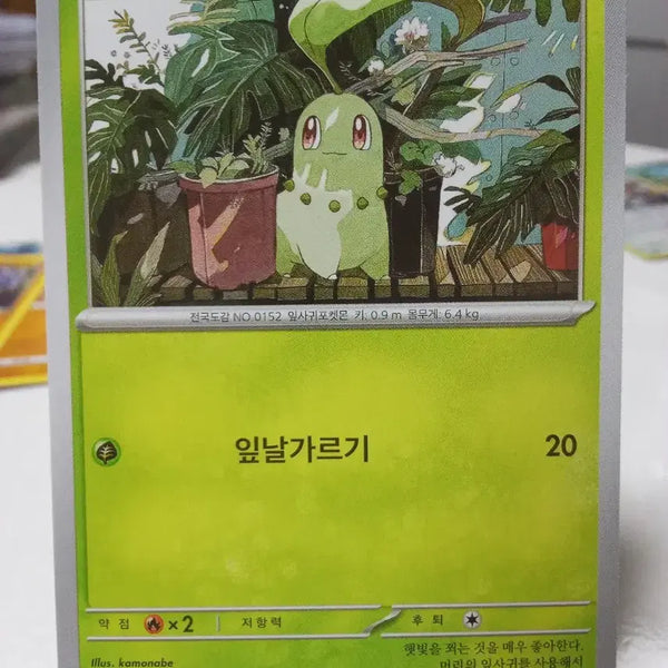 [BUNJANG] Pokemon Card Chikorita M1S 003/063 C / 포켓몬카드 치코리타 m1S 003/063 C