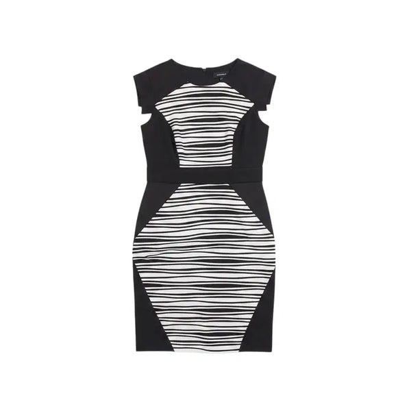 [BUNJANG] R&M Richards Women's Sleeveless Zebra Print Midi Dress Size 6 / 여성 6사이즈/ R&M Richards 얼룩말 민소매원피스 0-17