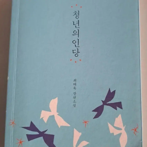 [BUNJANG] Yeon-gyeong Korean Novel "Clean" - Single Volume / 소설책 단권 청년 의인당