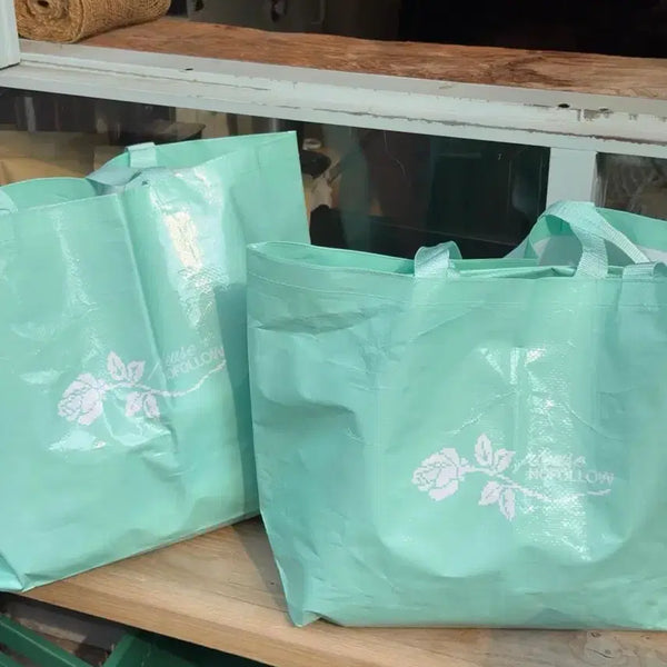 [BUNJANG] Please Follow Mint Tarpaulin Bag / 플리즈노팔로우 민트 타포린백