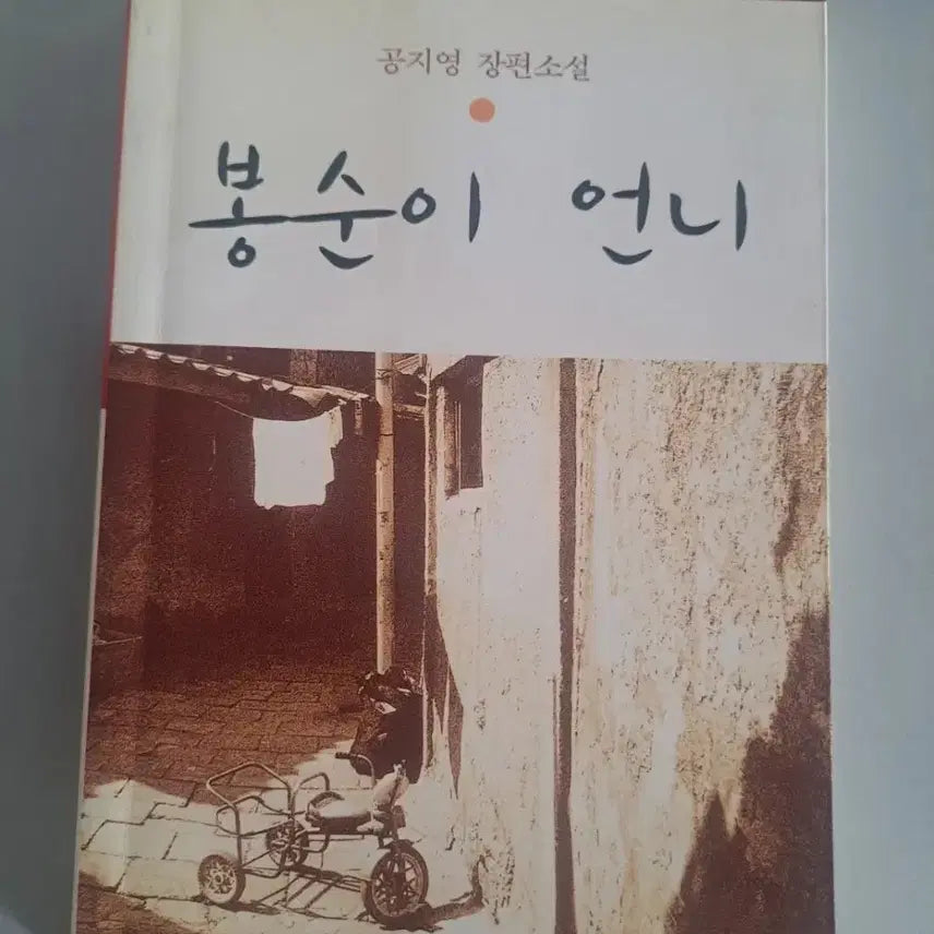 [BUNJANG] Bong Soon's Sister Novel / 소설책 봉순이 언니