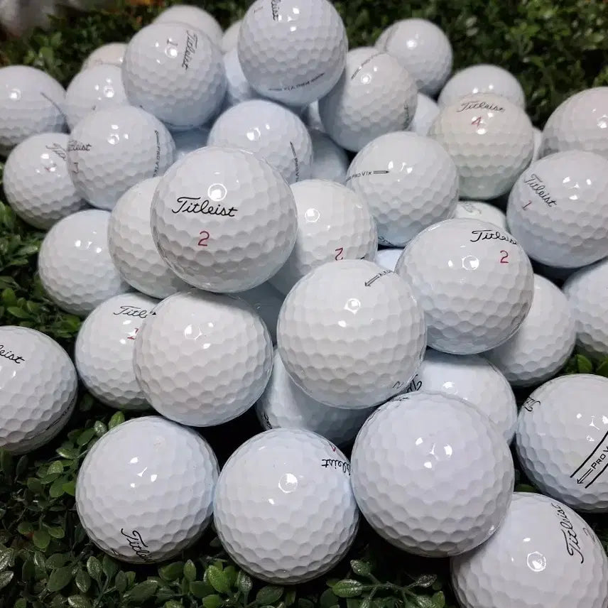 [BUNJANG] Titleist Pro V1x Golf Balls (Used, 50-Piece Set) / 타이틀리스트 v1x 4ps 50알 / 로스트볼 깔끄미