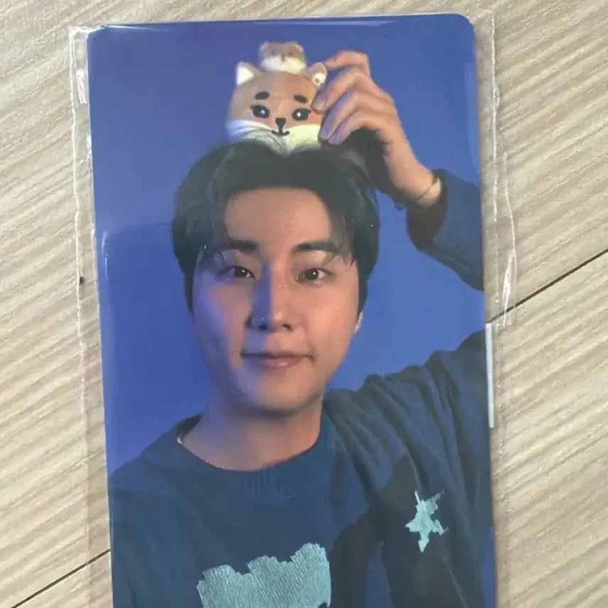 [BUNJANG] DAY6 2025 Concert Online Photocard Young K / 데이식스 2025클콘 온라인 5만 포카 영케이 영현