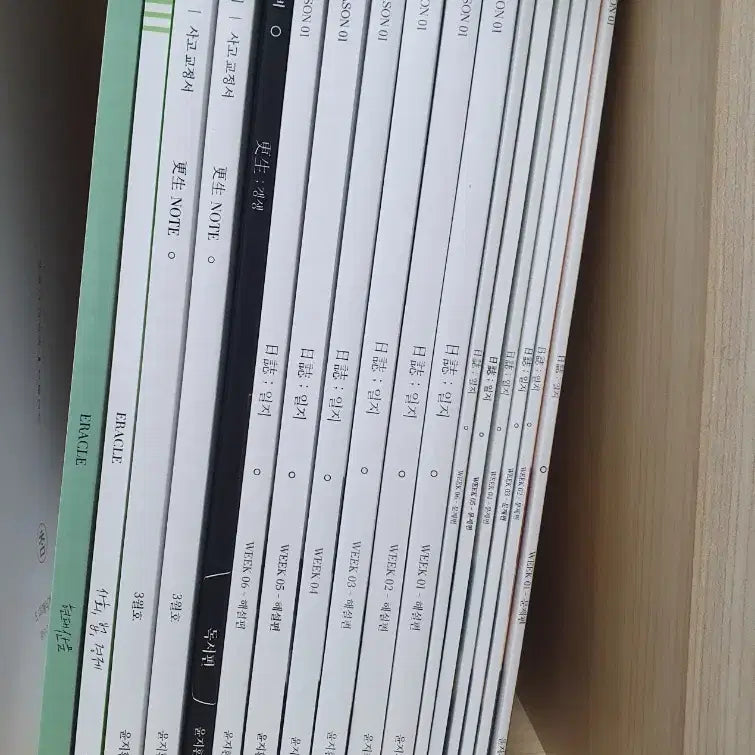 [BUNJANG] Sidae Injae Korean Language Yoon Ji-hwan Journal (with explanations) / 2027학년도 시대인재 국어 윤지환 일지(해설포함), eracle, 사생