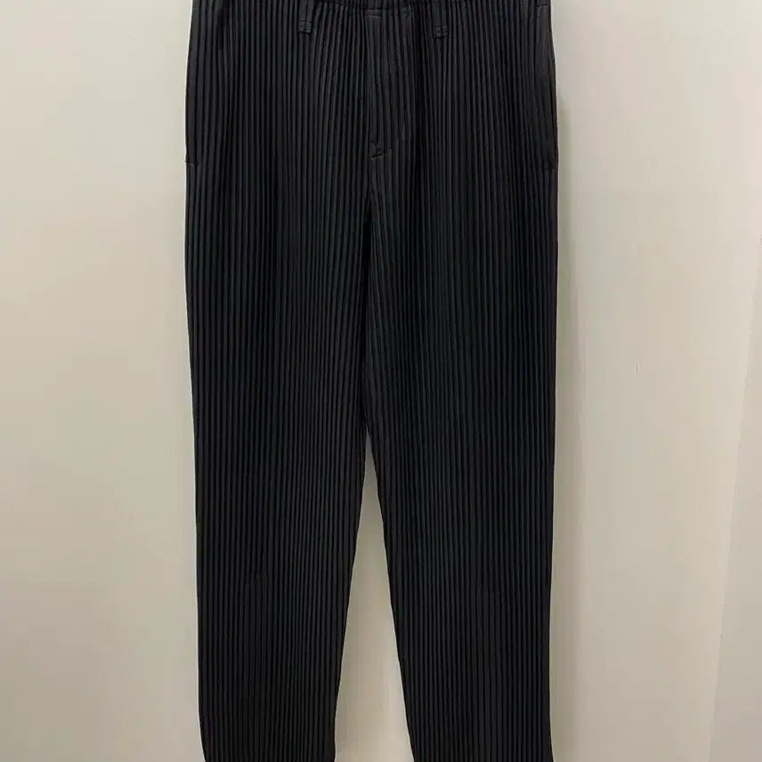 [BUNJANG] Issey Miyake Homme Plisse Monthly Back Slit Pants Black Size 1 / 이세이미야케 옴므플리세 먼슬리 백슬릿 절개 팬츠 블랙 1 사이즈