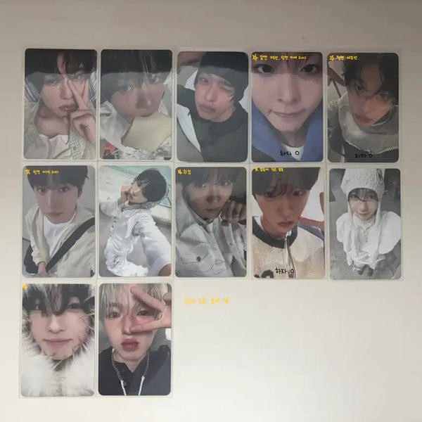 [BUNJANG] NCT WISH Photocard / 엔시티위시 포카 판매