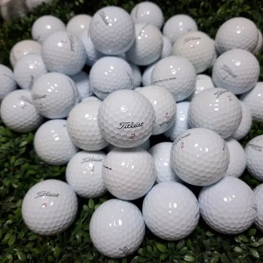 [BUNJANG] Titleist Pro V1x Used Golf Balls (40 Balls) with Printed Balls / 타이틀리스트 v1x 4ps 40알 깔끄미 로스트볼 인쇄볼 포함