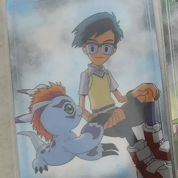 [BUNJANG] Digimon Wafer Card / 디지몬 웨하스 팝니다