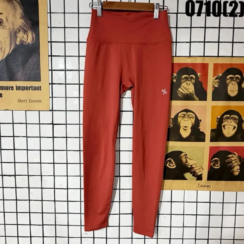 [BUNJANG] Xexymix Orange Leggings M / 젝시믹스 레깅스 오렌지 M 0710