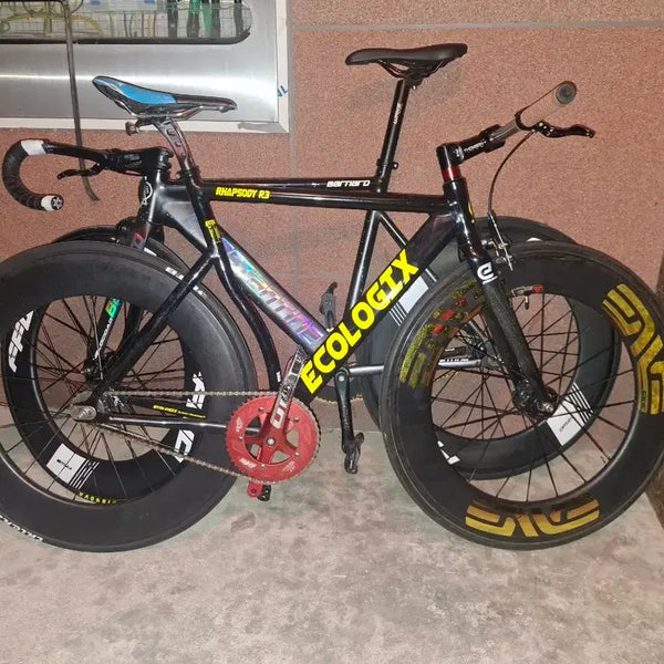 [BUNJANG] Ecologix Rhapsody R3 Pixie Bike / 에콜로직스 랩소디 R3 픽시 판매/대차
