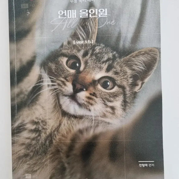 [BUNJANG] Jeon Hyung Tae Korean Language All-in-One Textbook / 전형태 언매올인원