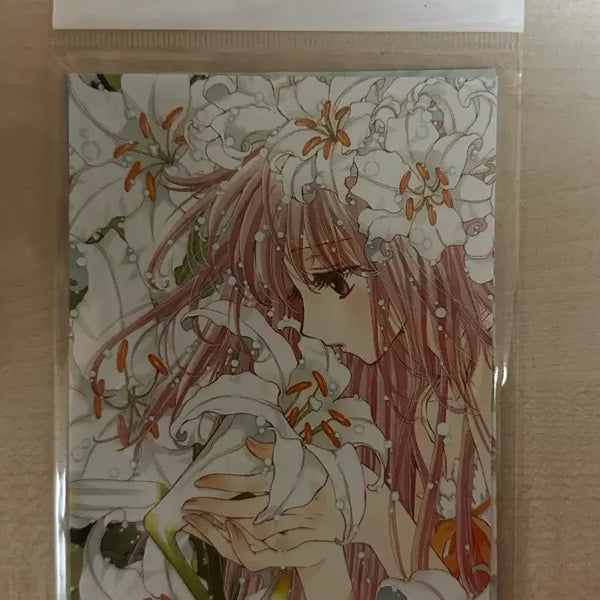 [BUNJANG] Clamp Exhibition Postcard Set B (Sealed) / (미개봉) 클램프 전시 엽서 세트 B 판매