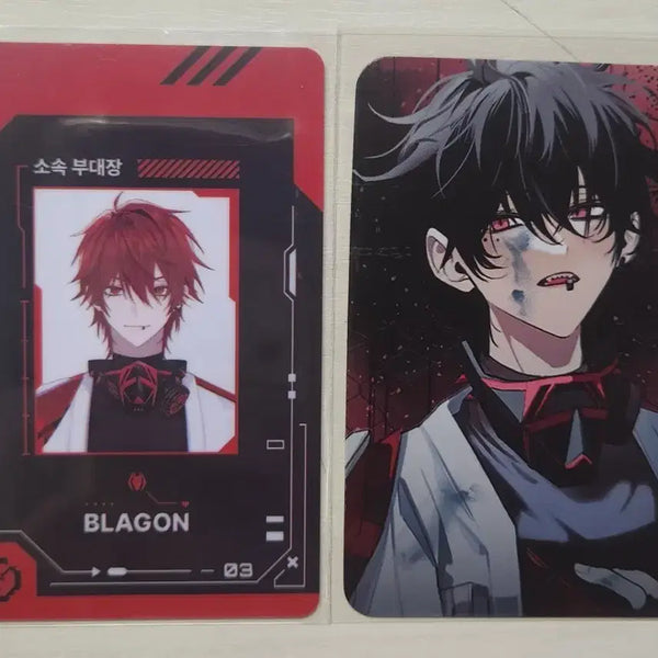 [BUNJANG] Rirevolution Ryu Photocard Bundle Set / 리레볼루션 류님 포카 SET