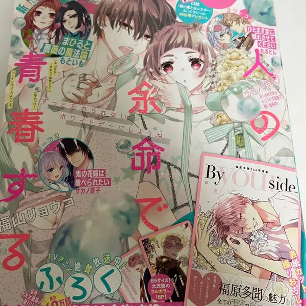 [BUNJANG] Hana To Yume Magazine March Issue Bonus Not Included / 하나또유메 하나토유메 3월 20일호 부록 미포함