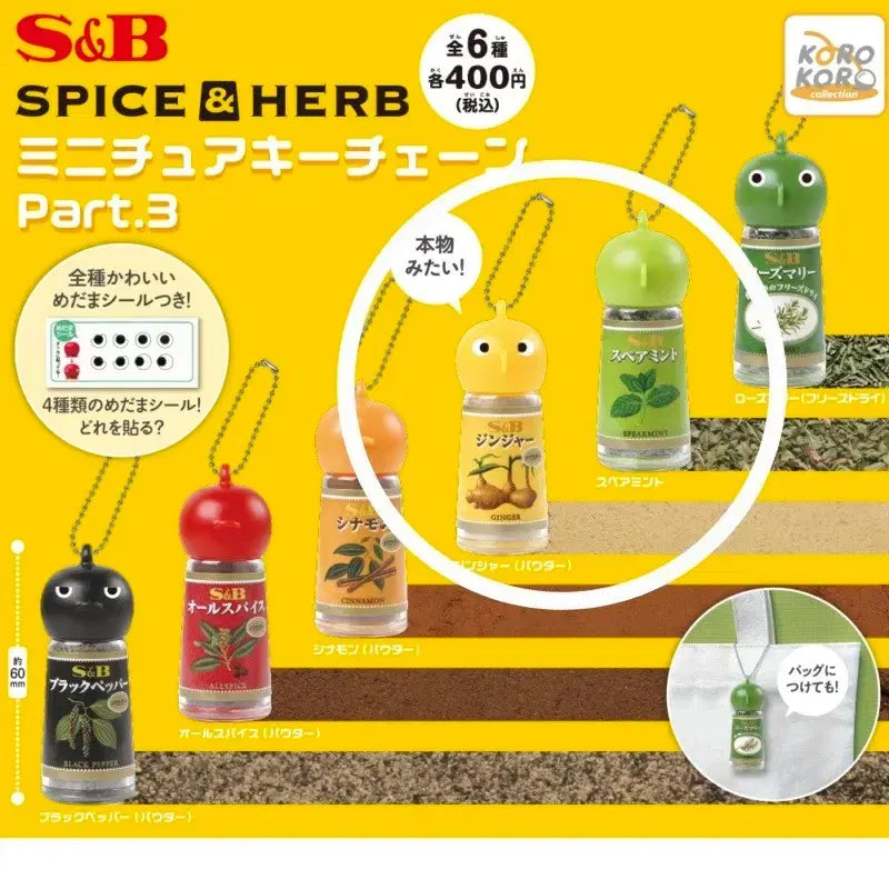[BUNJANG] S&B Spice & Herb Miniature Gacha Series 3 Keychain Set / 에스앤비 S&B 미니어처 가챠 3탄 스파이스&허브