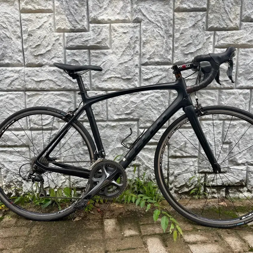 [BUNJANG] Cello Cane Full Carbon Road Bike Ultegra 510M / 첼로 케인 울테그라 풀카본 로드